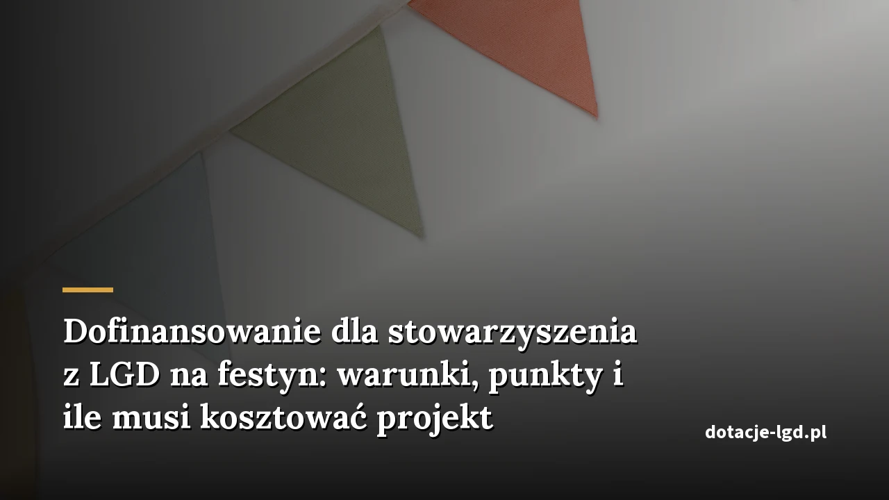 Dofinansowanie dla stowarzyszenia z LGD na festyn: warunki, punkty i ile musi kosztować projekt