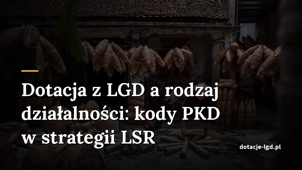 Dotacja z LGD a rodzaj działalności: kody PKD w strategii LSR