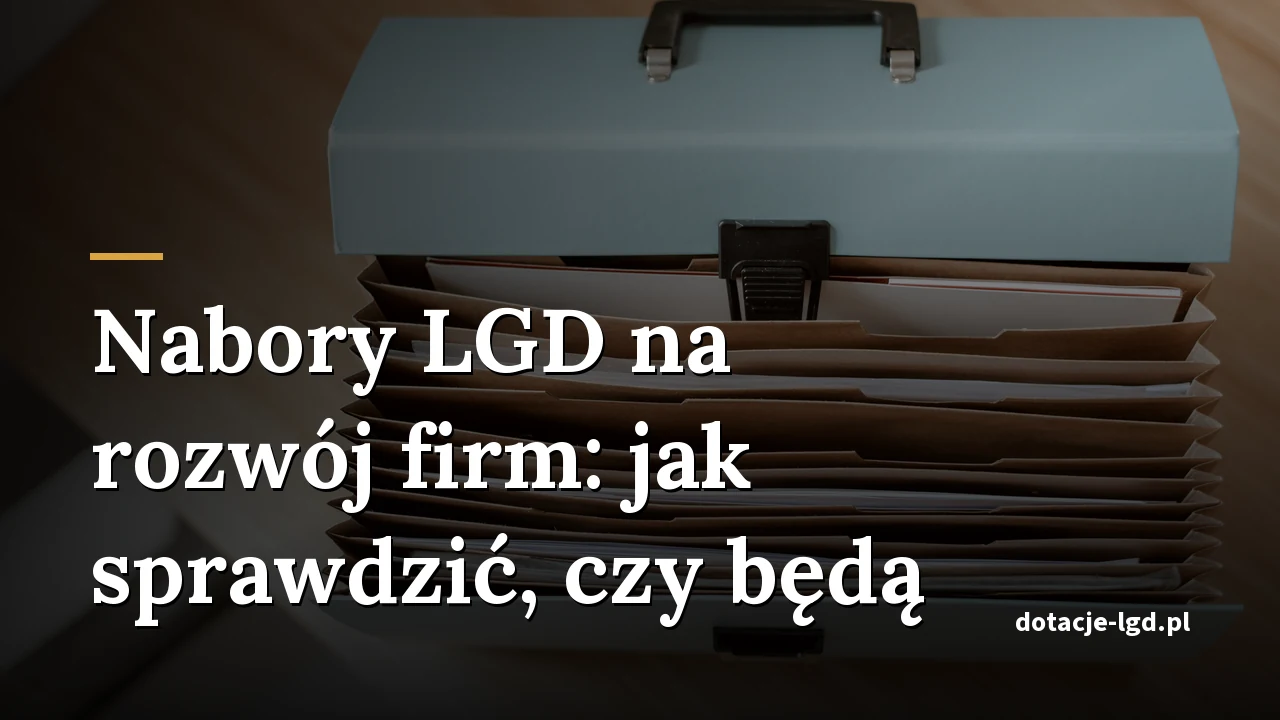 Nabory LGD na rozwój firm: jak sprawdzić, czy będą