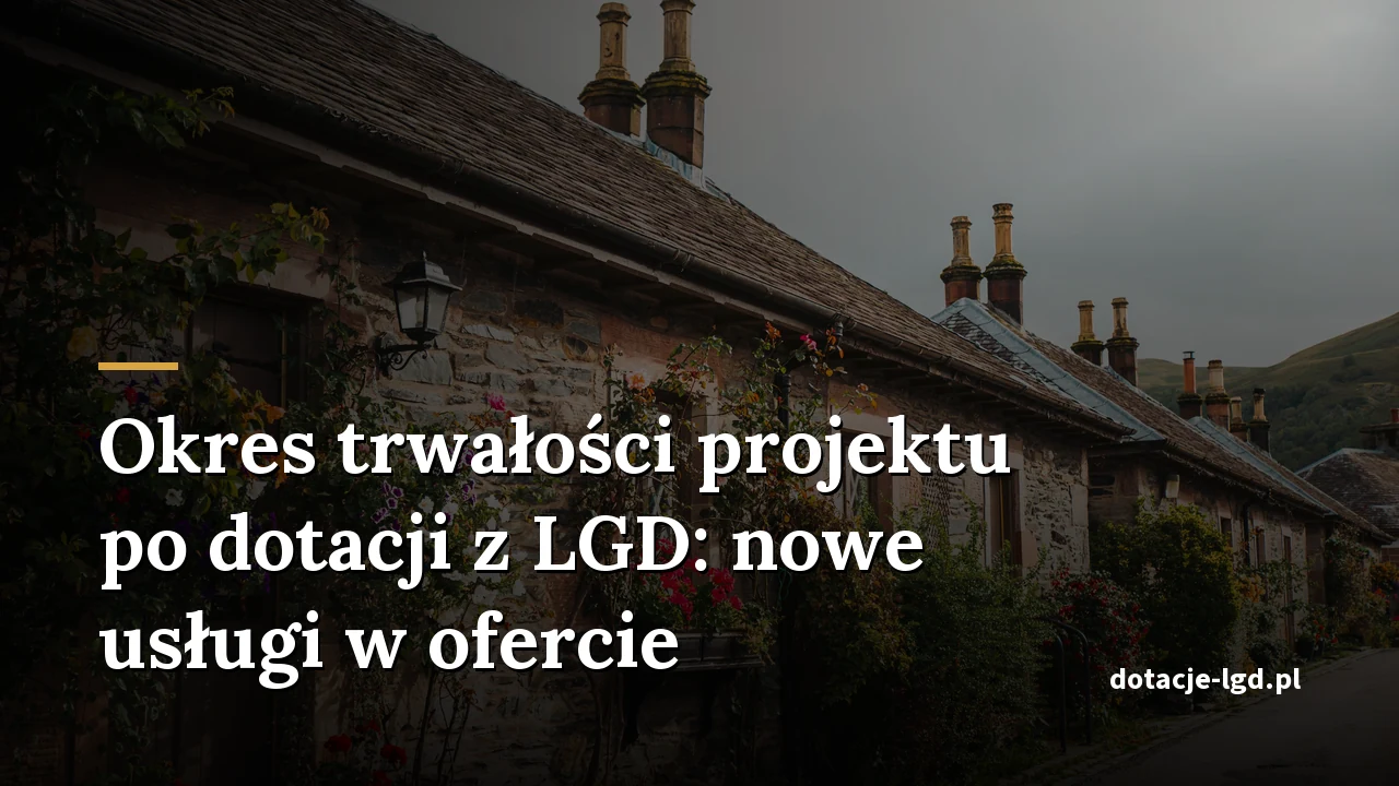 Okres trwałości projektu po dotacji z LGD: nowe usługi w ofercie
